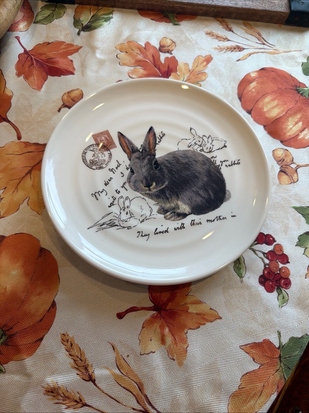 Decorative Rabbit Ceramic Small Pet Plate - White/Grey